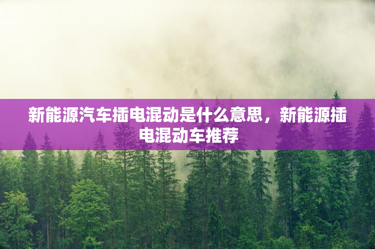 新能源汽车插电混动是什么意思，新能源插电混动车推荐