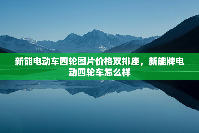 新能电动车四轮图片价格双排座，新能牌电动四轮车怎么样