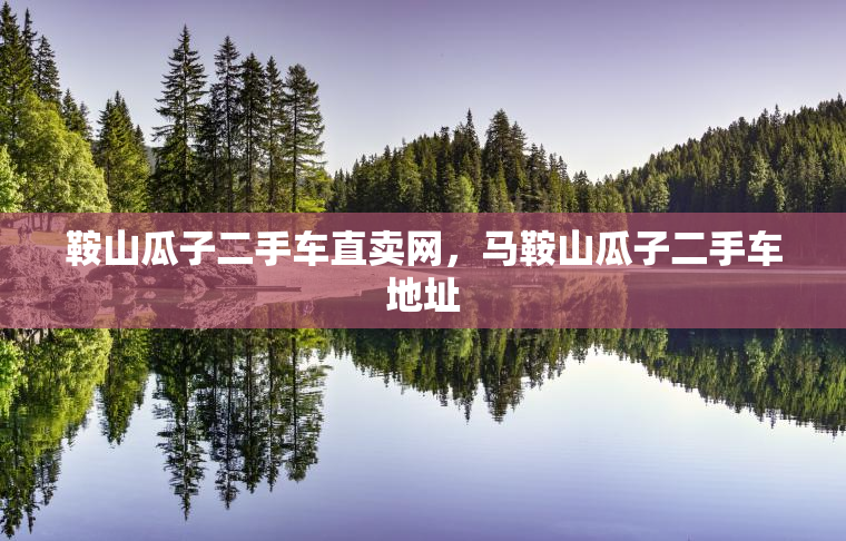 鞍山瓜子二手车直卖网，马鞍山瓜子二手车地址