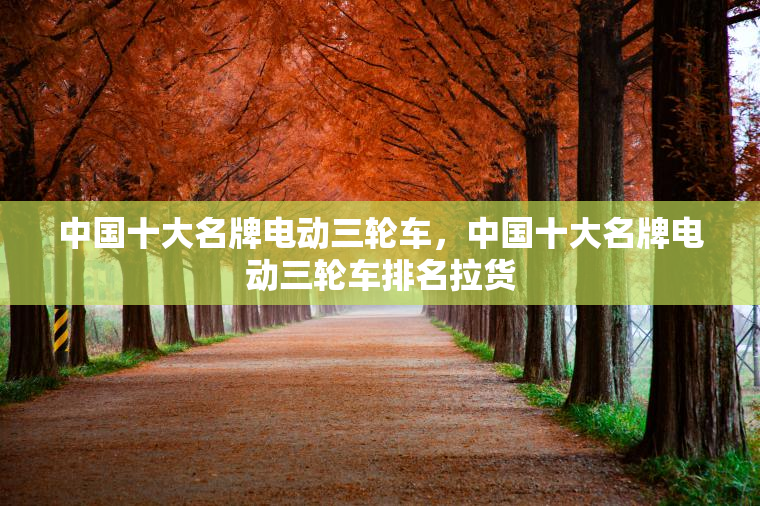 中国十大名牌电动三轮车,中国十大名牌电动三轮车排名拉货 中国十大名牌电动三轮车,中国十大名牌电动三轮车排名拉货