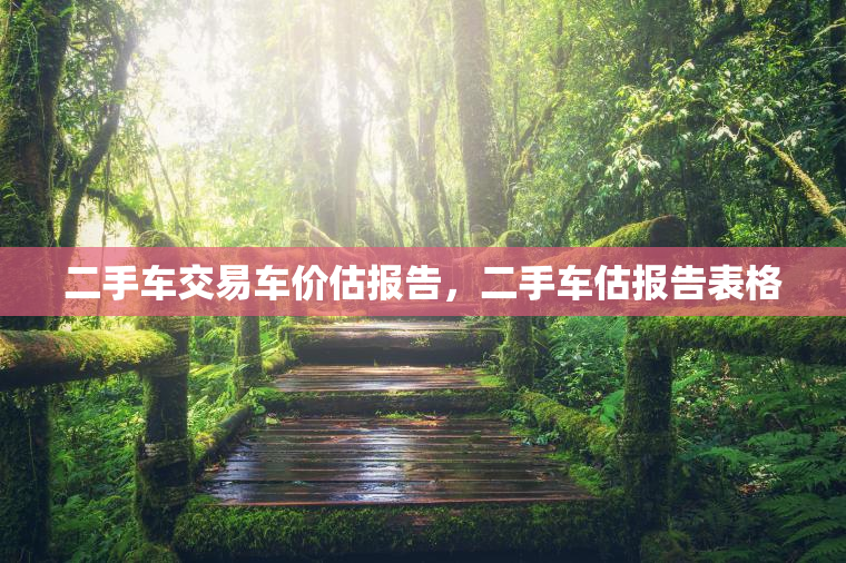 二手车交易车价估报告，二手车估报告表格
