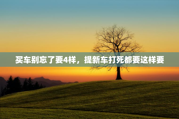 买车别忘了要4样，提新车打死都要这样要