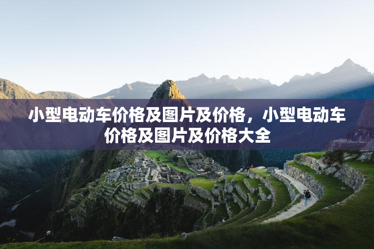 小型电动车价格及图片及价格，小型电动车价格及图片及价格大全