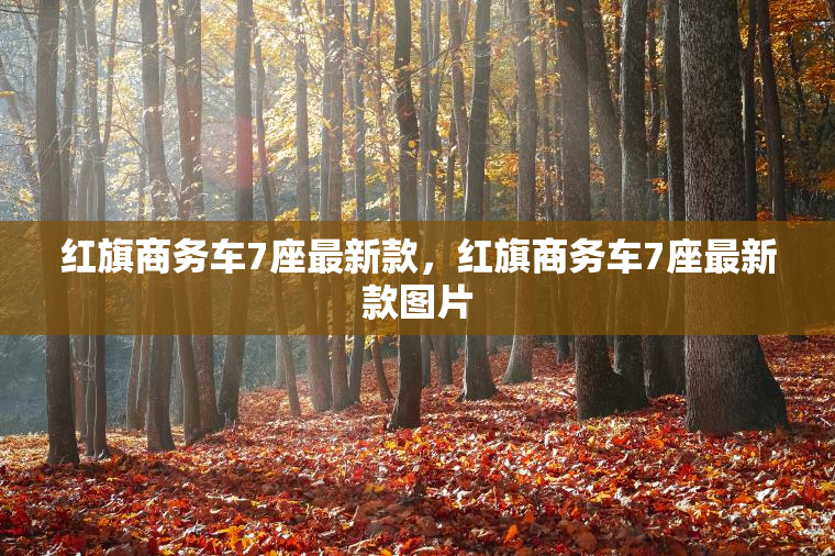 红旗商务车7座最新款，红旗商务车7座最新款图片