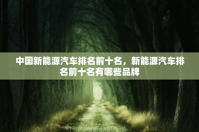 中国新能源汽车排名前十名，新能源汽车排名前十名有哪些品牌