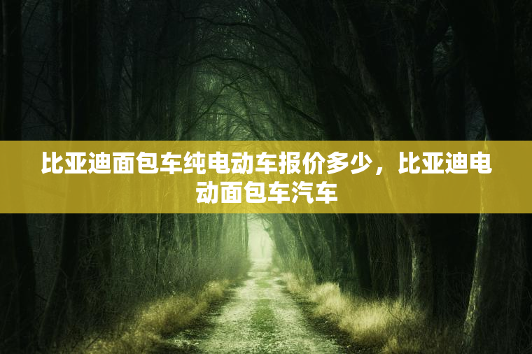 比亚迪面包车纯电动车报价多少，比亚迪电动面包车汽车