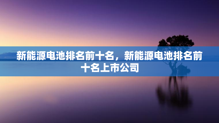 新能源电池排名前十名，新能源电池排名前十名上市公司