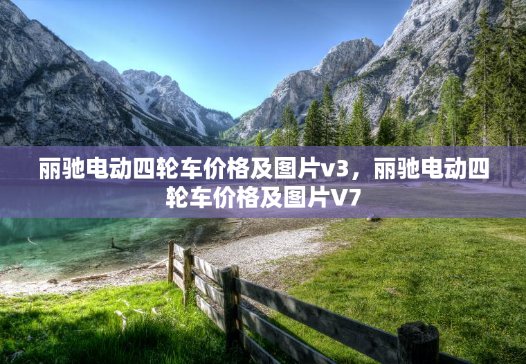 丽驰电动四轮车价格及图片v3，丽驰电动四轮车价格及图片V7