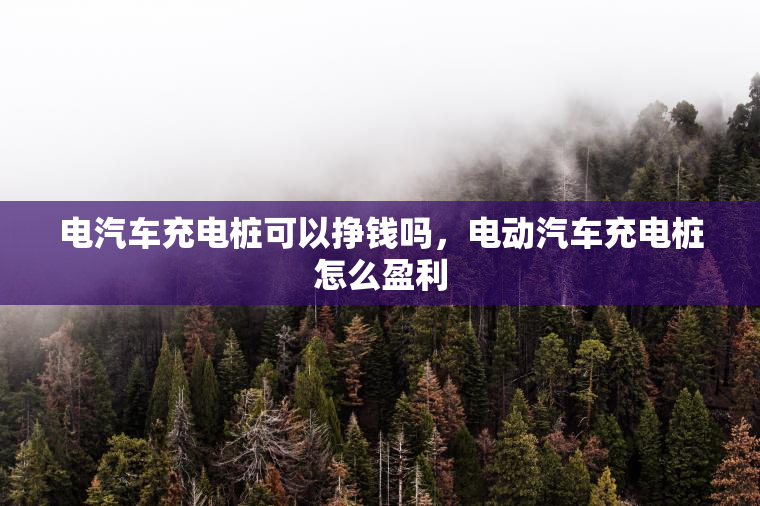 电汽车充电桩可以挣钱吗，电动汽车充电桩怎么盈利