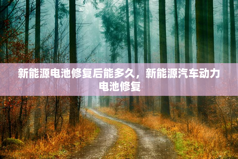 新能源电池修复后能多久，新能源汽车动力电池修复