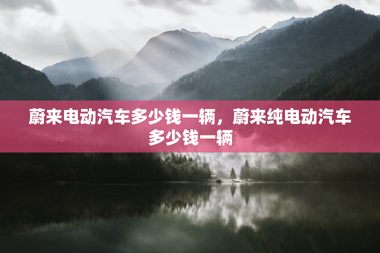 蔚来电动汽车多少钱一辆，蔚来纯电动汽车多少钱一辆