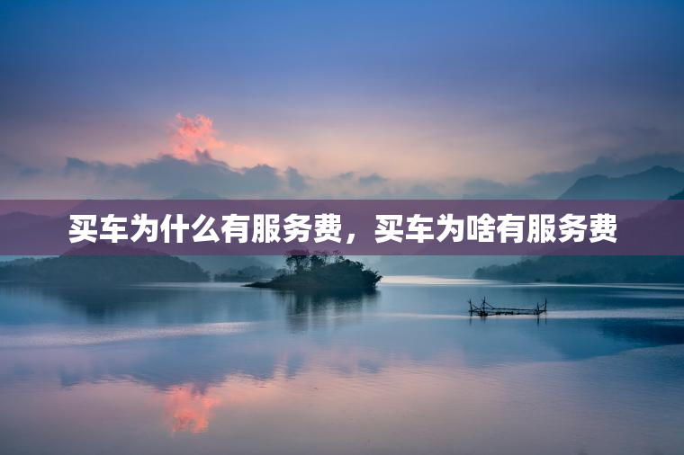 买车为什么有服务费，买车为啥有服务费