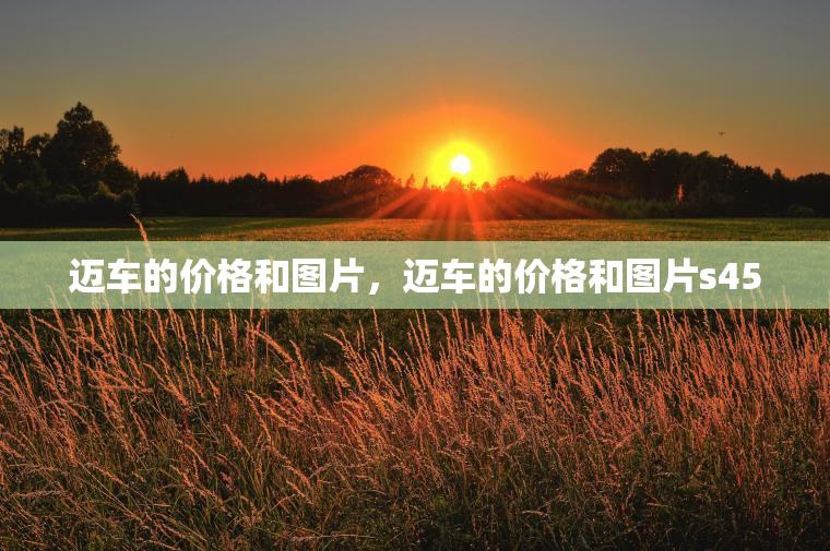 迈车的价格和图片，迈车的价格和图片s450