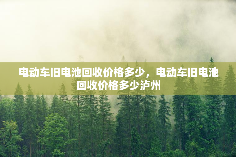 电动车旧电池回收价格多少，电动车旧电池回收价格多少泸州