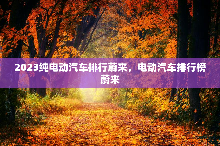 2023纯电动汽车排行蔚来，电动汽车排行榜蔚来