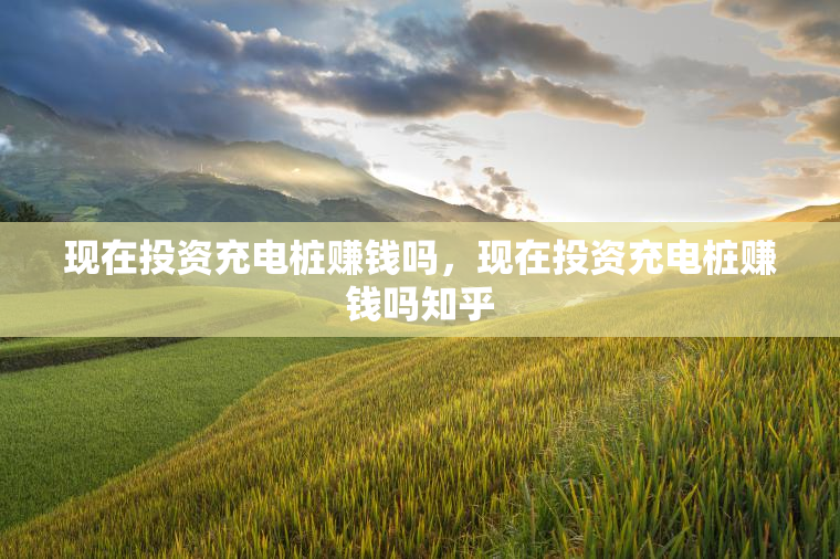 现在投资充电桩赚钱吗，现在投资充电桩赚钱吗知乎