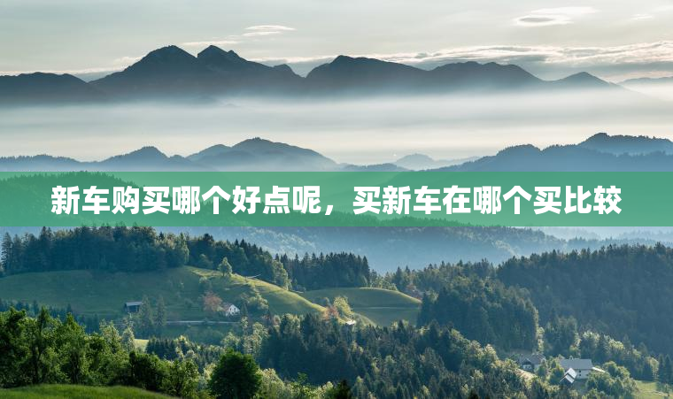 新车购买哪个好点呢，买新车在哪个买比较