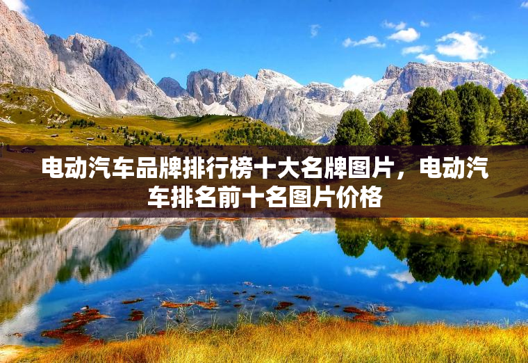电动汽车品牌排行榜十大名牌图片，电动汽车排名前十名图片价格