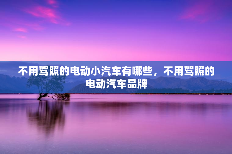 不用驾照的电动小汽车有哪些，不用驾照的电动汽车品牌