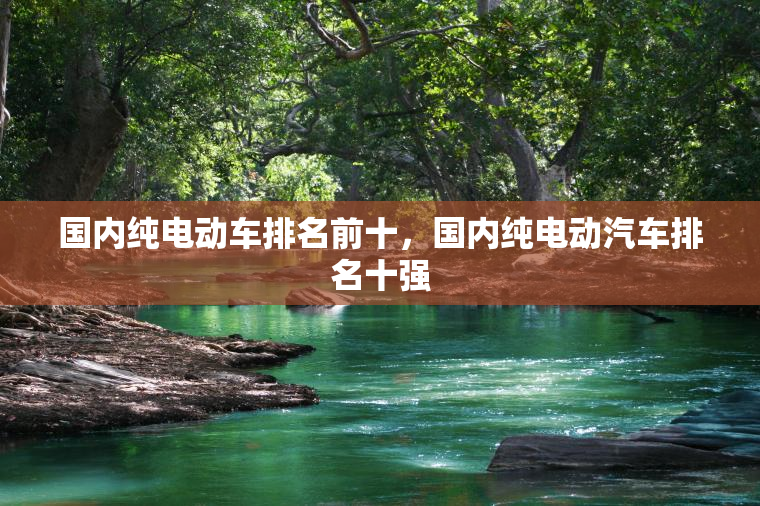 国内纯电动车排名前十，国内纯电动汽车排名十强