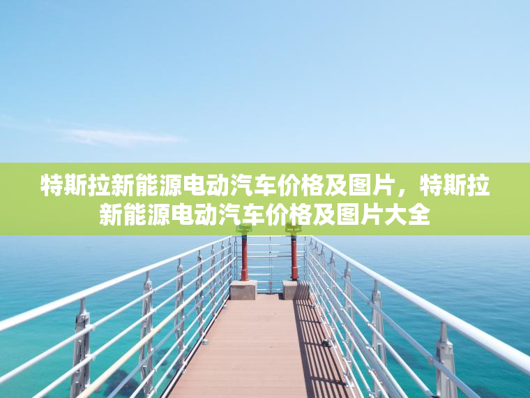 特斯拉新能源电动汽车价格及图片，特斯拉新能源电动汽车价格及图片大全