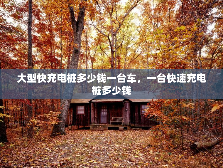 大型快充电桩多少钱一台车，一台快速充电桩多少钱