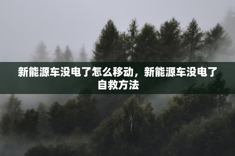 新能源车没电了怎么移动，新能源车没电了自救方法