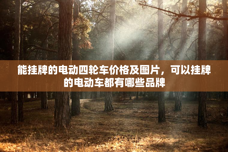 能挂牌的电动四轮车价格及图片，可以挂牌的电动车都有哪些品牌