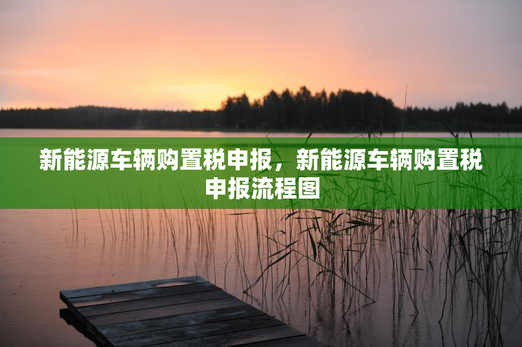 新能源车辆购置税申报，新能源车辆购置税申报流程图