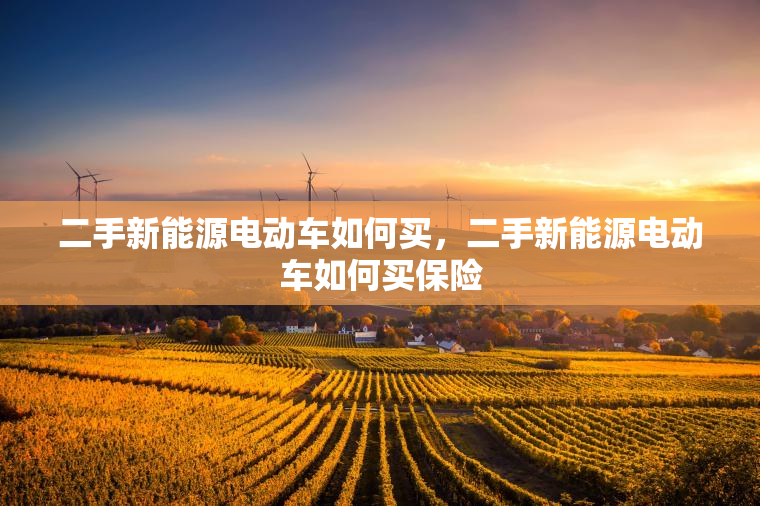 二手新能源电动车如何买，二手新能源电动车如何买保险