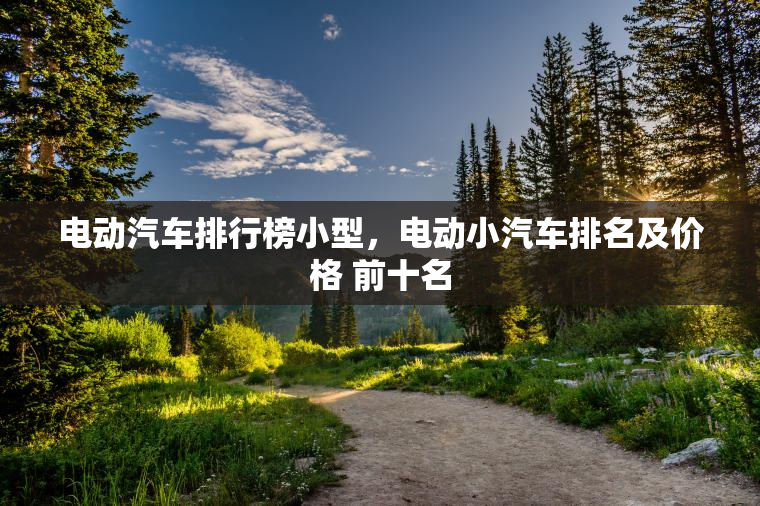电动汽车排行榜小型，电动小汽车排名及价格 前十名