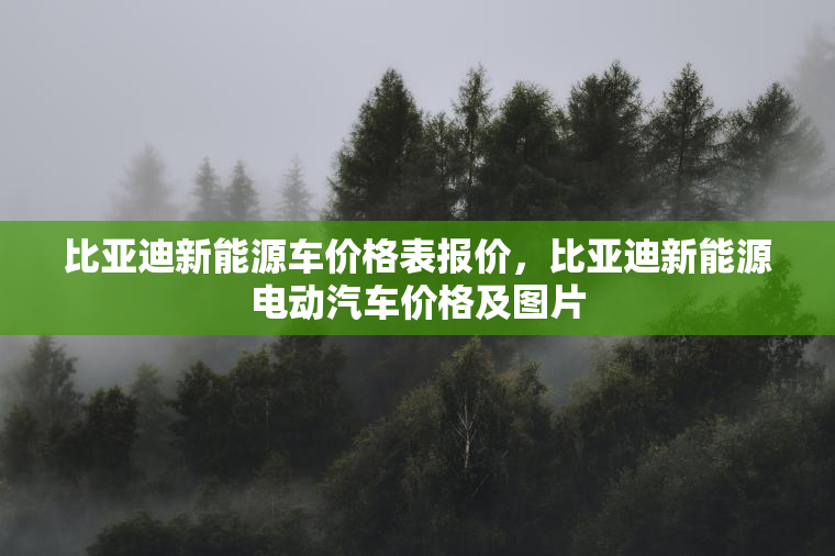 比亚迪新能源车价格表报价，比亚迪新能源电动汽车价格及图片