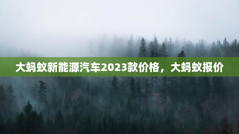大蚂蚁新能源汽车2023款价格，大蚂蚁报价
