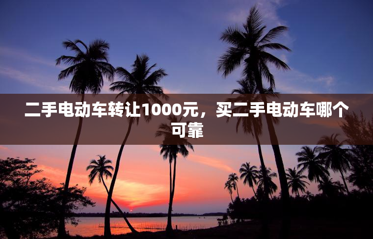 二手电动车转让1000元，买二手电动车哪个可靠