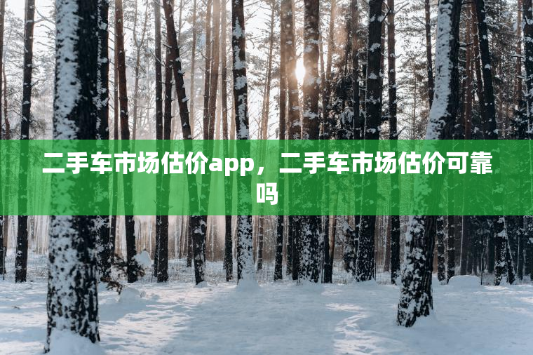 二手车市场估价app，二手车市场估价可靠吗