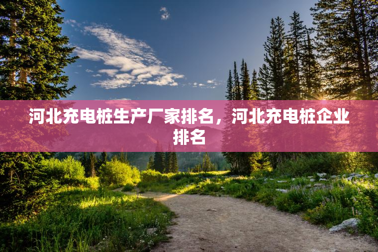 河北充电桩生产厂家排名，河北充电桩企业排名