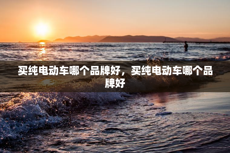 买纯电动车哪个品牌好，买纯电动车哪个品牌好