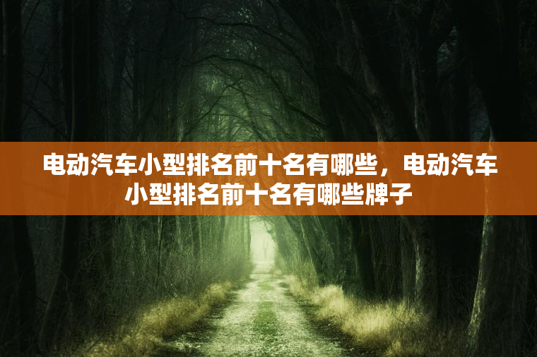 电动汽车小型排名前十名有哪些，电动汽车小型排名前十名有哪些牌子