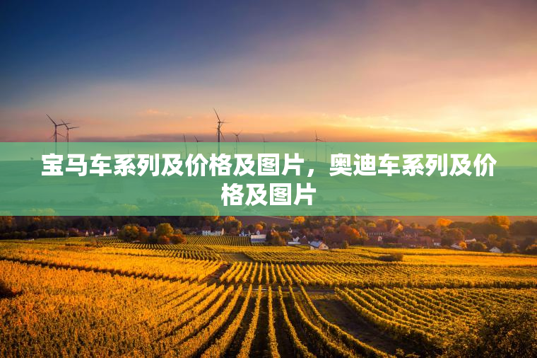 宝马车系列及价格及图片，奥迪车系列及价格及图片