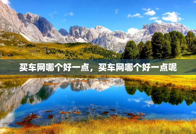 买车网哪个好一点，买车网哪个好一点呢