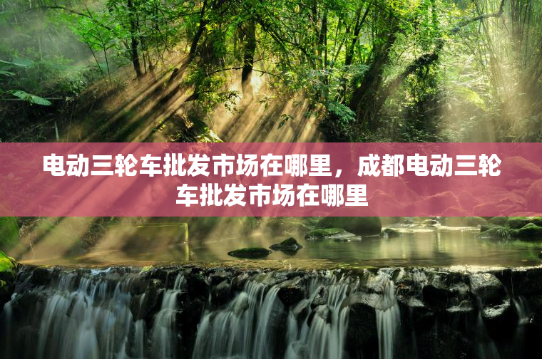 电动三轮车批发市场在哪里，成都电动三轮车批发市场在哪里