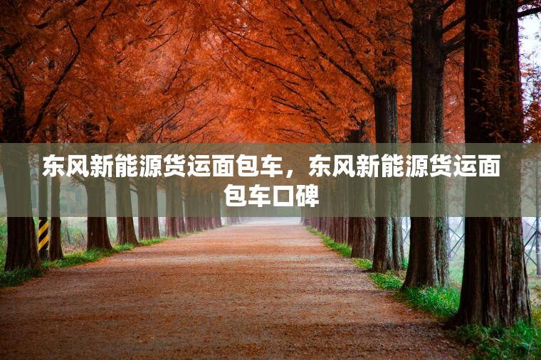 东风新能源货运面包车，东风新能源货运面包车口碑