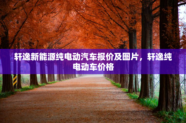 轩逸新能源纯电动汽车报价及图片，轩逸纯电动车价格