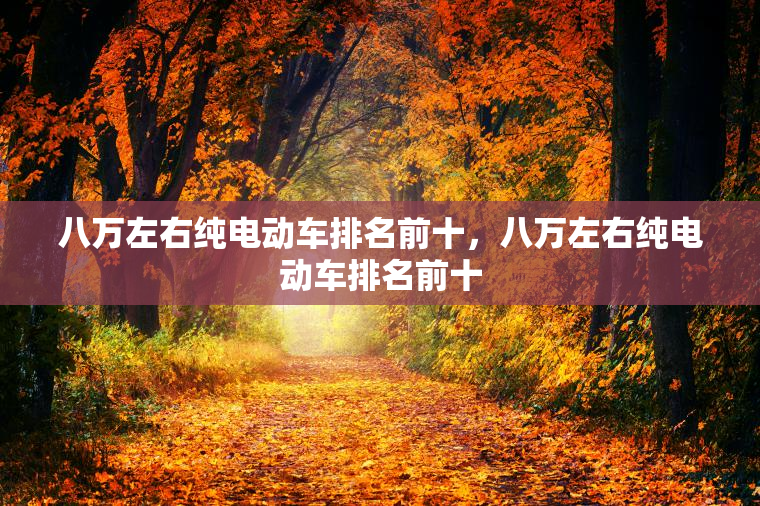 八万左右纯电动车排名前十，八万左右纯电动车排名前十