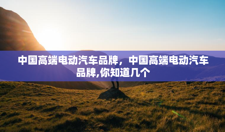 中国高端电动汽车品牌,中国高端电动汽车品牌,你知道几个 中国高端电动汽车品牌,中国高端电动汽车品牌,你知道几个