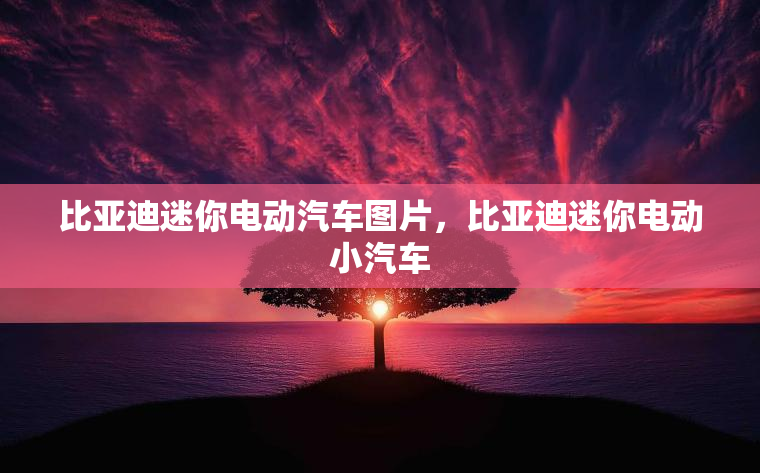 比亚迪迷你电动汽车图片，比亚迪迷你电动小汽车