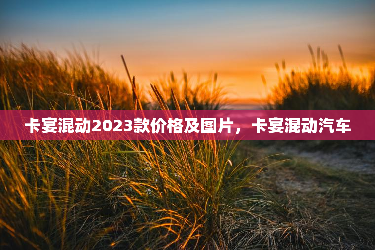 卡宴混动2023款价格及图片，卡宴混动汽车