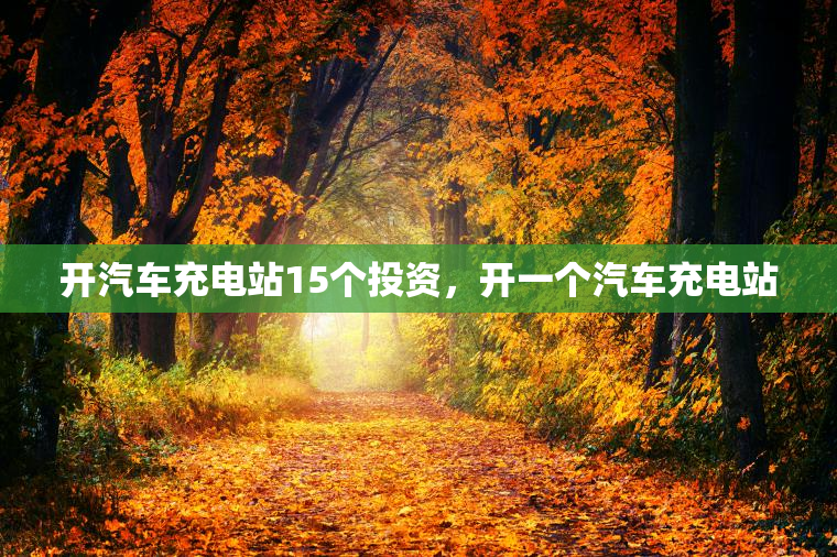 开汽车充电站15个投资，开一个汽车充电站