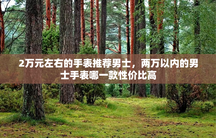 2万元左右的手表推荐男士,两万以内的男士手表哪一款性价比高 2万元左右的手表推荐男士,两万以内的男士手表哪一款性价比高