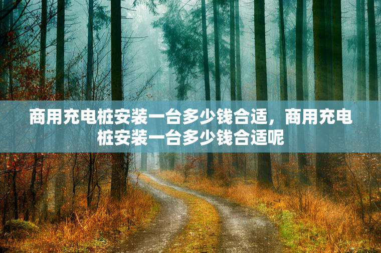 商用充电桩安装一台多少钱合适，商用充电桩安装一台多少钱合适呢